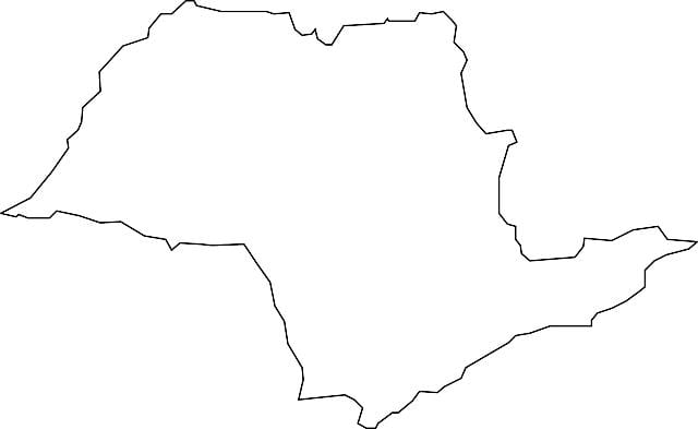 地図サンパウロのベクトル